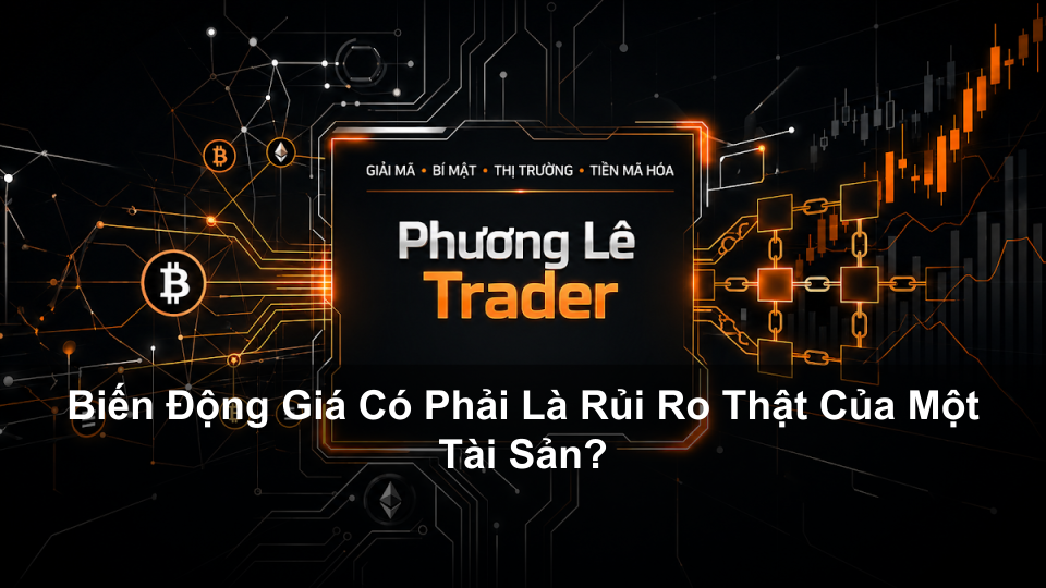 Biến Động Giá Có Phải Là Rủi Ro Thật Của Một Tài Sản?