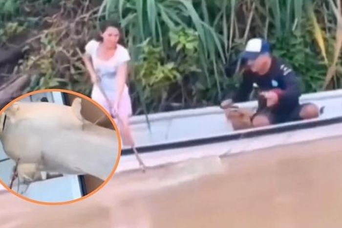 Hai vợ chồng bắt được con cá trê khổng lồ nặng 100kg trên sông - Tạp chí Người Đưa Tin
