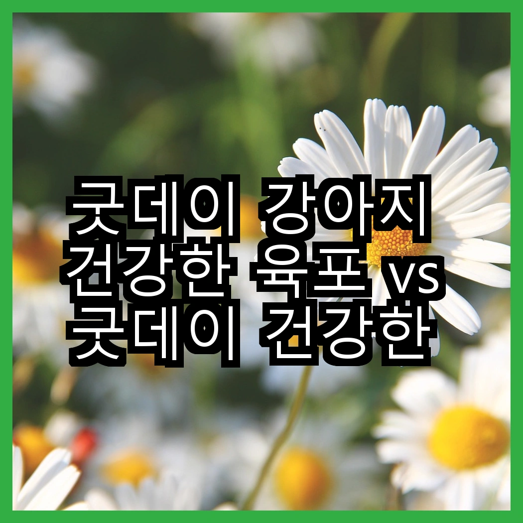 굿데이 강아지 건강한 육포 vs 굿데이 건강한 육포 간식, 어떤 선택이 더 좋을까? 썸네일