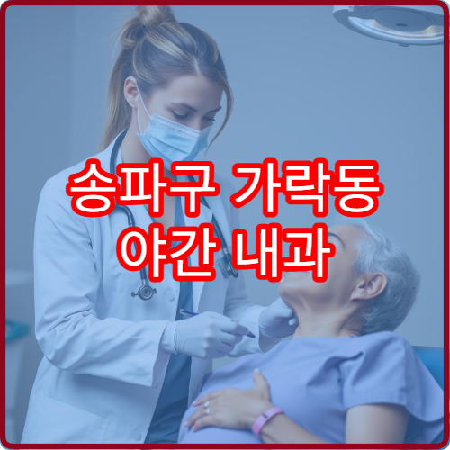 송파구 가락동 야간 내과 진료 가능한 병원 만성 질환 진료 안내