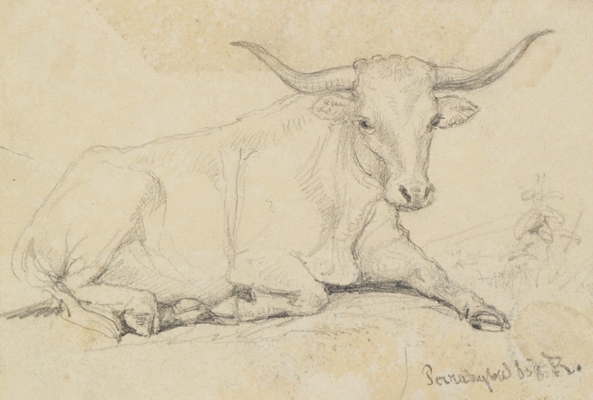 Ochsenstudie liegend 1858