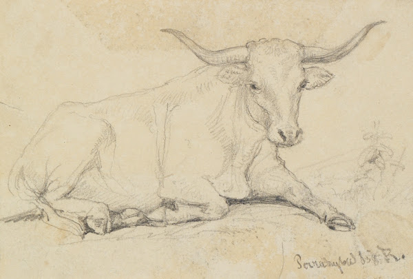 Ochsenstudie liegend 1858