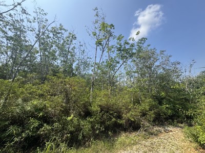 2 Lot Tanah Pertanian Hulu Selangor (Lot 943 & 944, Mukim Sungai Gumut) — foto 1/10