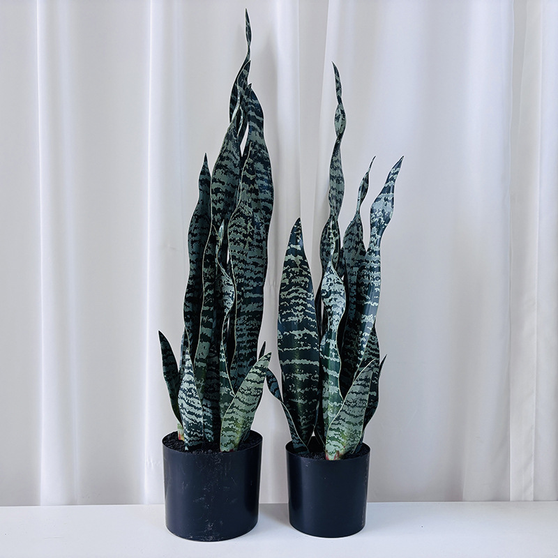 Kunstpflanze Sansevieria, 50 cm, PE