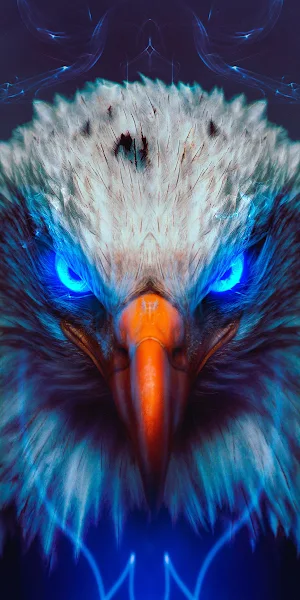 Eagle, Bald Eagle, Golden Eagle, Bird, Peafowl 4K iPhone Wallpaper Background