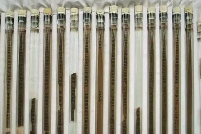 Vì sao gần 5.000 mảnh tre cổ lại quý hơn cả kho báu? - Báo Tri thức &amp; Cuộc sống