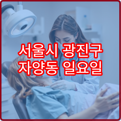 서울시 광진구 자양동 일요일 소아과 진료 병원 안내 주말 소아과 진료 가능한 병원