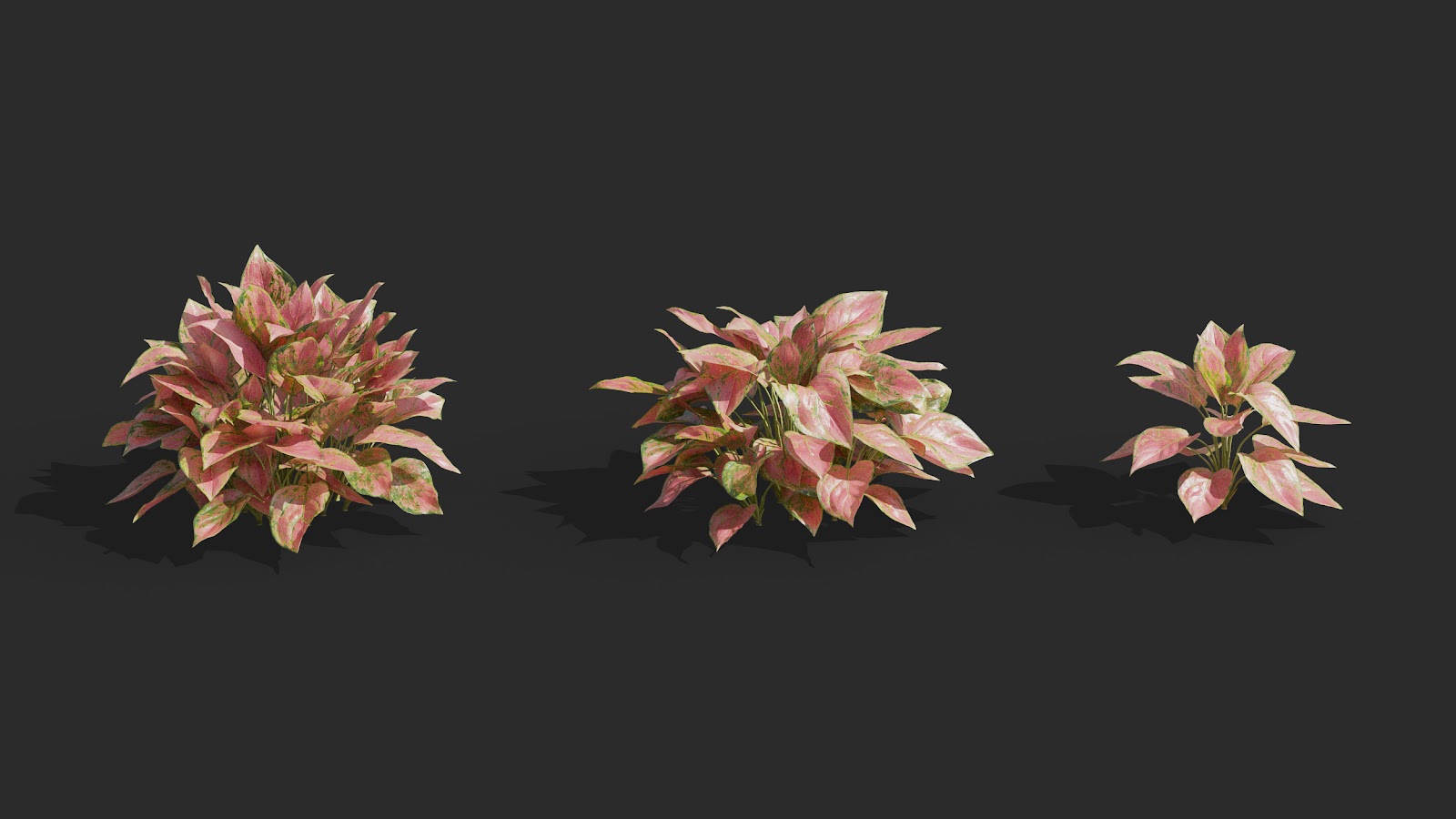Maxtree - Plant Models Vol.62