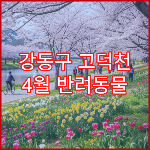 강동구 고덕천 4월 반려동물 산책 허용 구역 안전 가이드