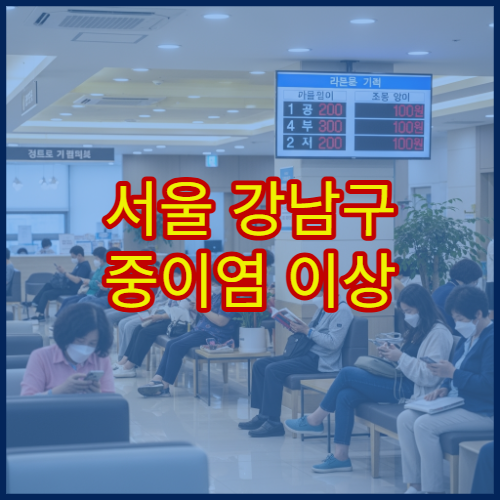서울 강남구 중이염 이상 증상 예방접종 받을 수 있는 소아이비인후과