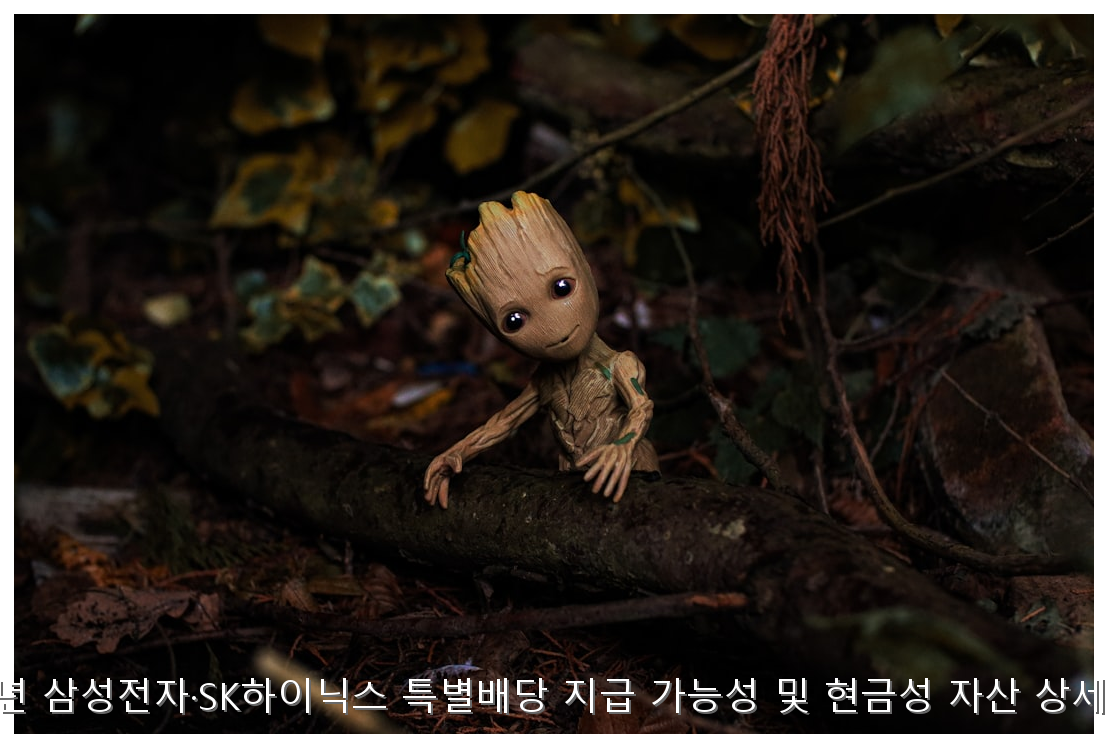 2026년 삼성전자·SK하이닉스 특별배당 지급 가능성 및 현금성 자산 상세 분석 핵심 안내 및 분석 인포그래픽 (4)