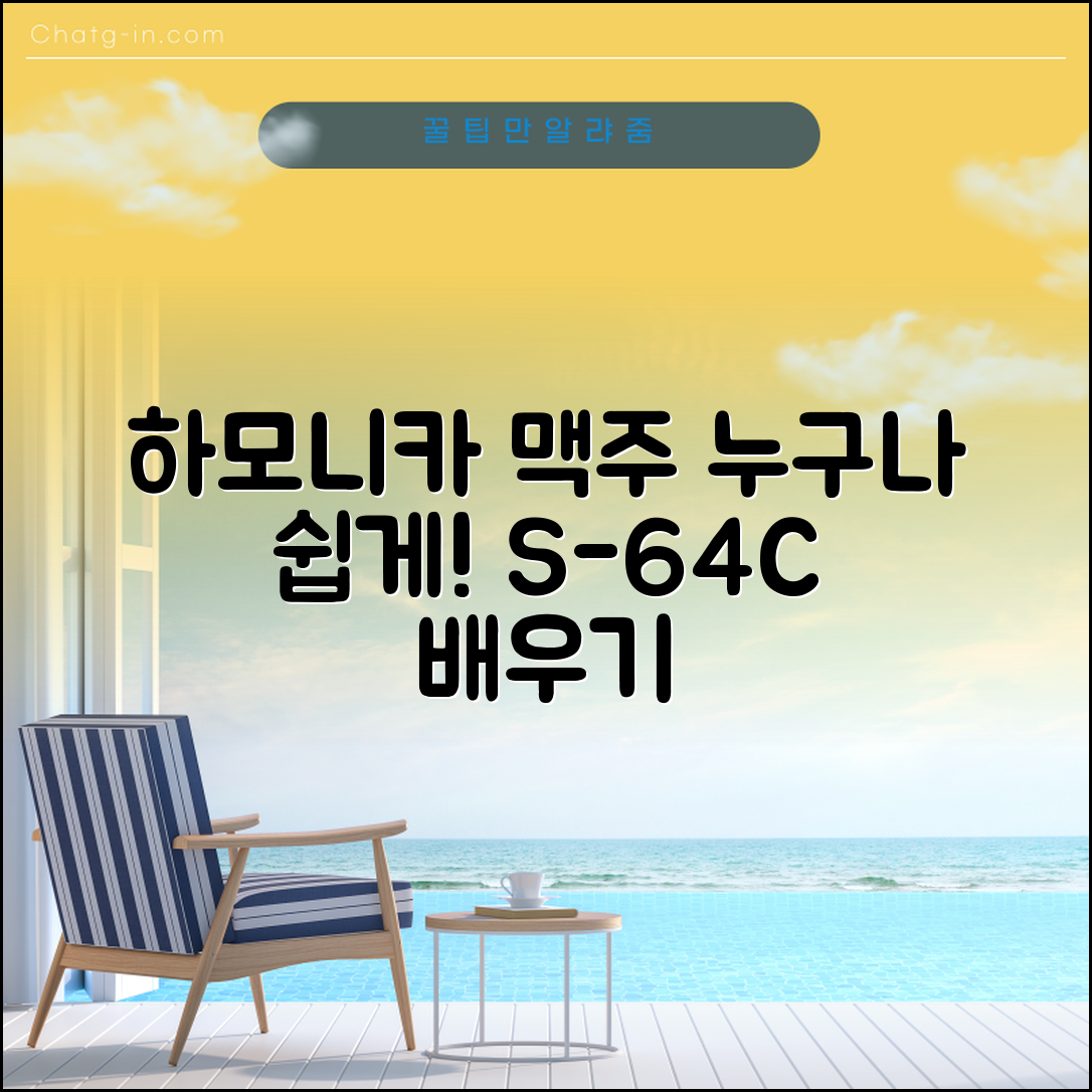 누구나 쉽게 배울 수 있는 s-64c 하모니카 맥주