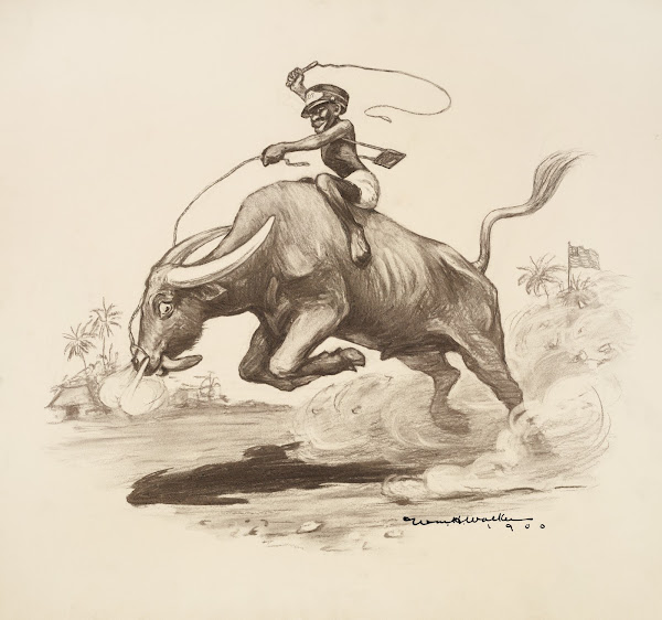 A black man rides a bucking water buffalo which is tiring while an American flag