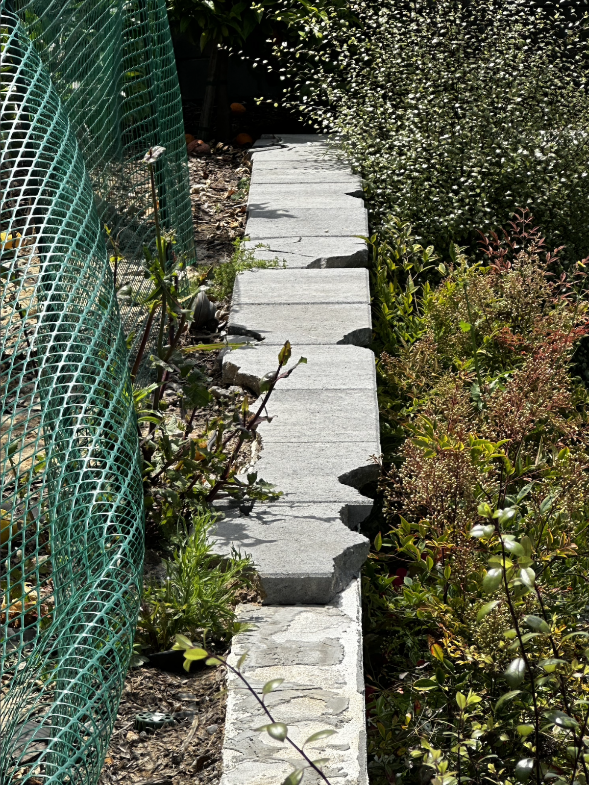 Water damage and erosion — defective irrigation