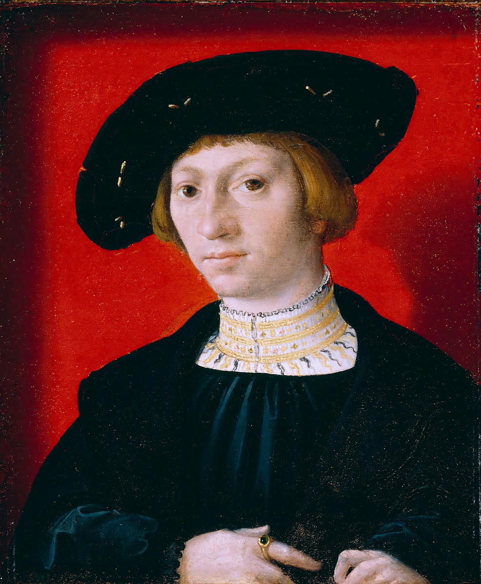 A Young Man between 1491 and 1542