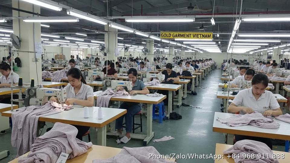 Apparel Manufacturer - Gold Garment Vietnam