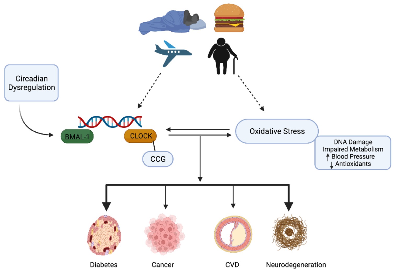 REDOX PROTEOMICS REVEALS A RECIPROCAL REDOX-METABOLIC COUPLING THAT REGULATES CIRCADIAN CLOCK