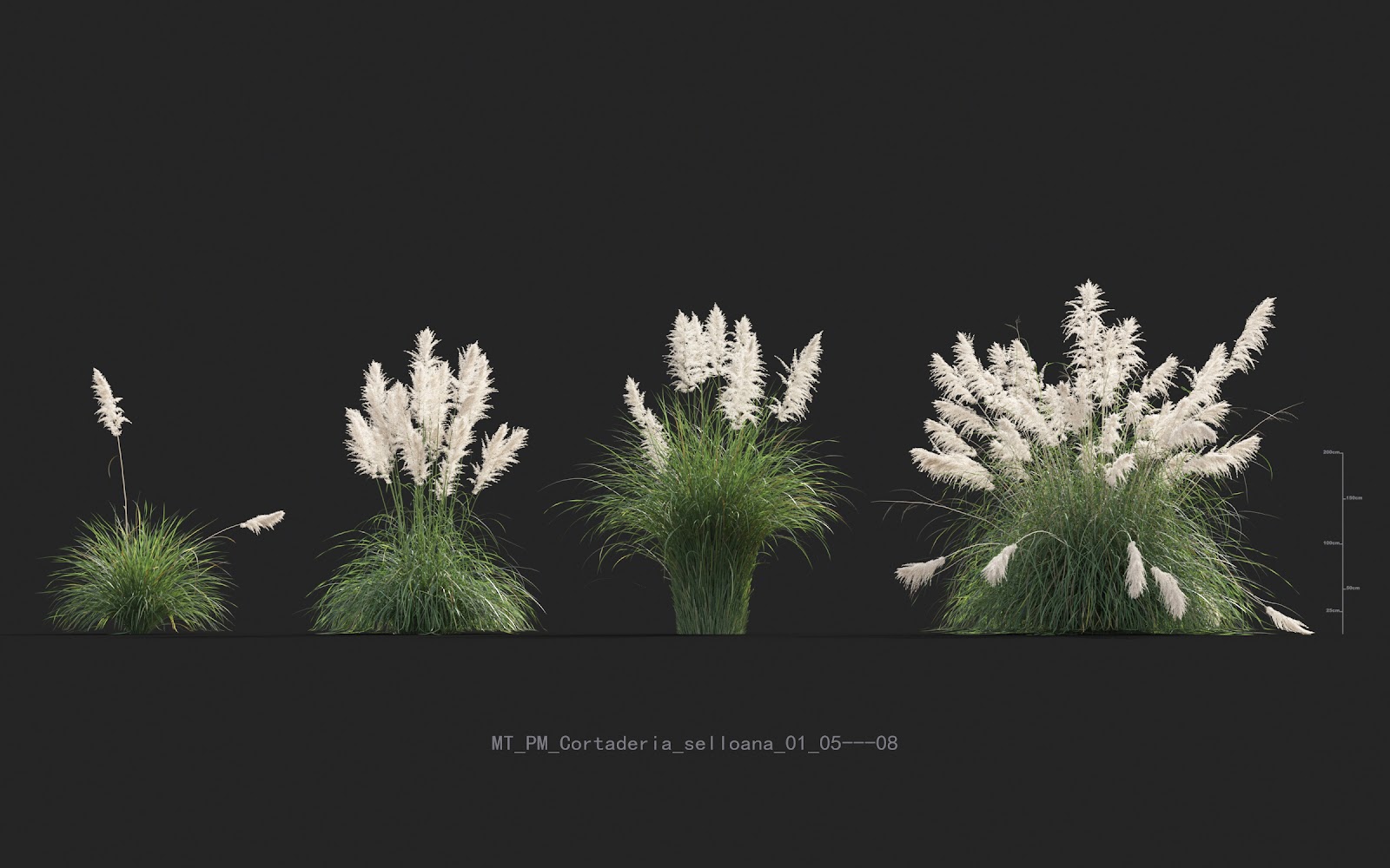 Maxtree - Plant Models Vol.20