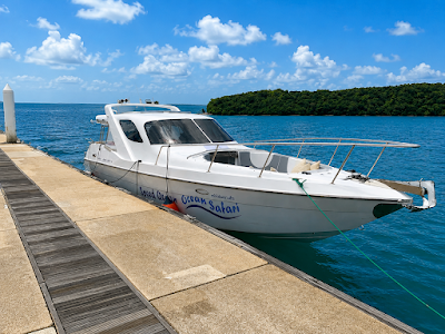 Ocean Safari