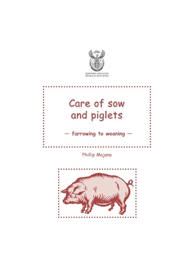 Care Of Sow And Piglets 2005