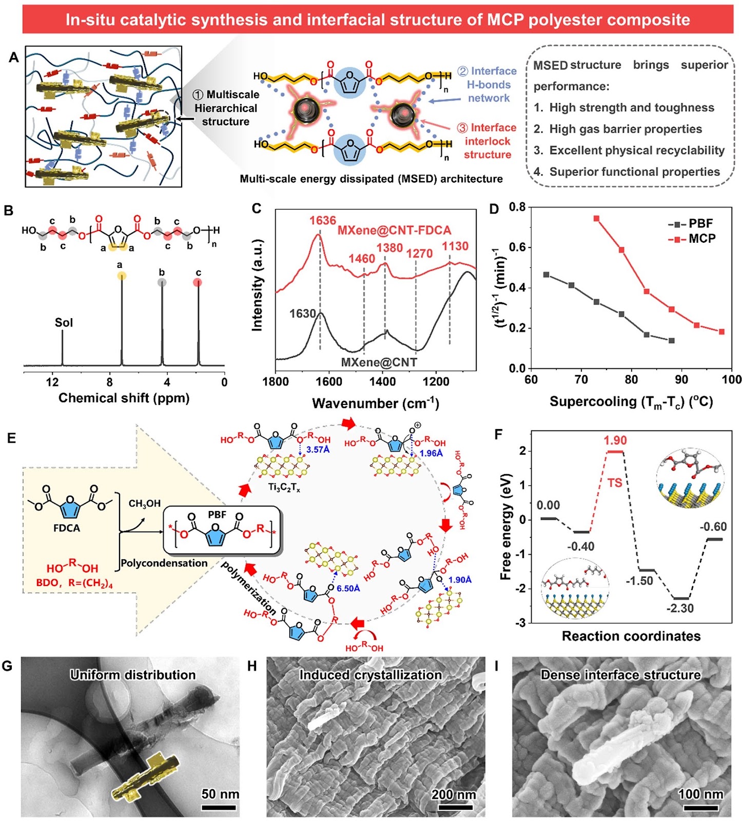 Robust and Reprocessable Biorenewable Polyester Nanocomposites In Situ Catalyzed and Reinforced by Dendritic MXene@CNT Heterostructure