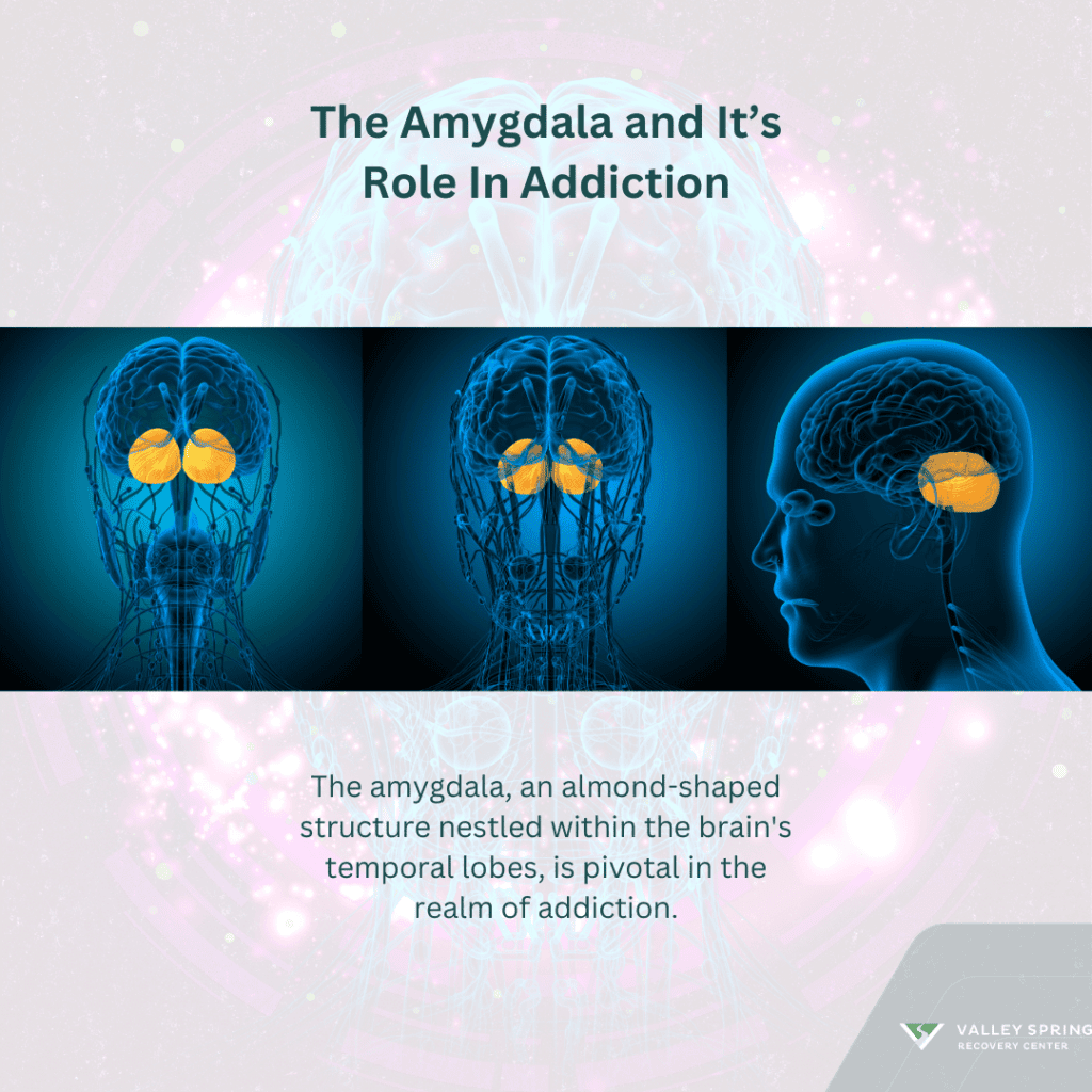 Article Illustration 1