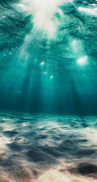 Underwater Picture