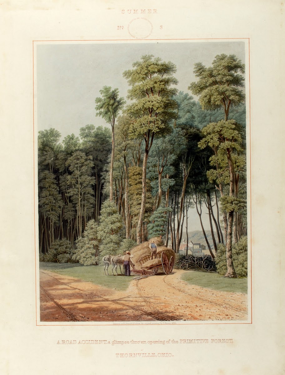 A Road Accident a Glimpse thro an Opening of the Primitive Forest 1841