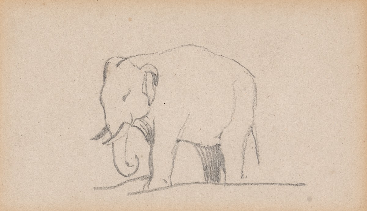 An Elephant facing left