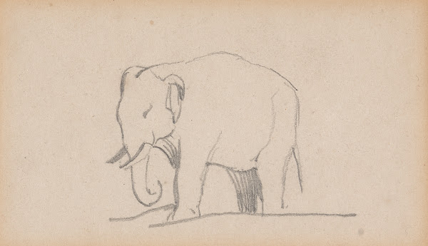 An Elephant facing left
