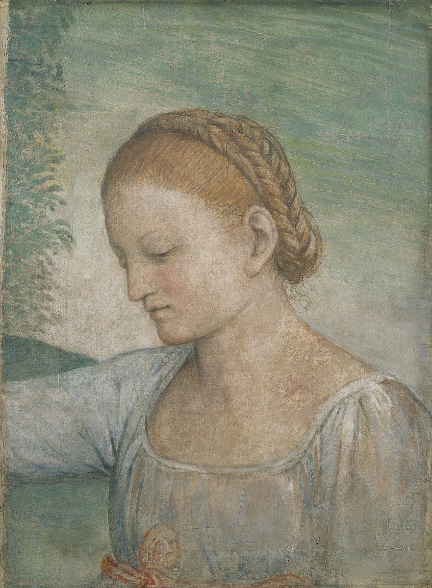 Head of a Girl c 1520   1523