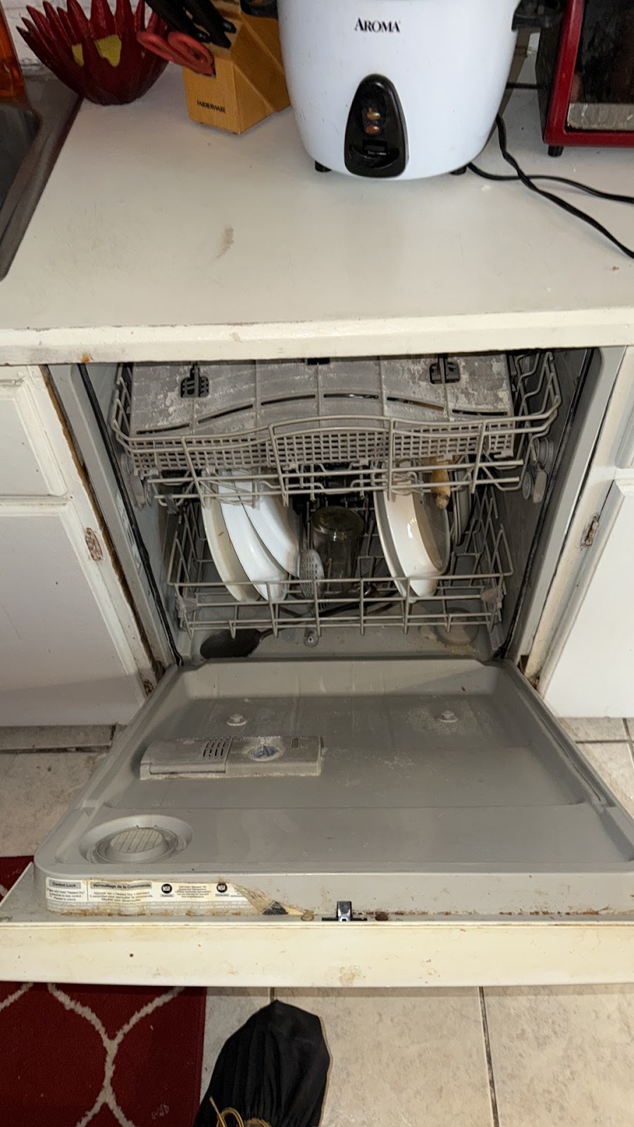 Copy of IMG_2026-03-13_14-24-41_605.jpg