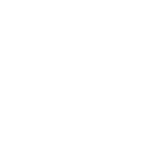 Ranking1 Logo