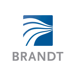 THE BRANDT COS. Logo