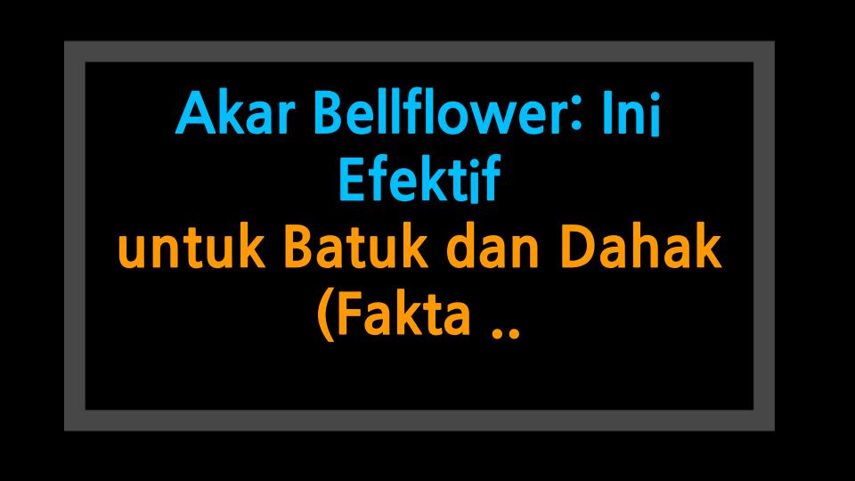 Akar Bellflower: Ini Efektif untuk Batuk dan Dahak (Fakta Nyata)