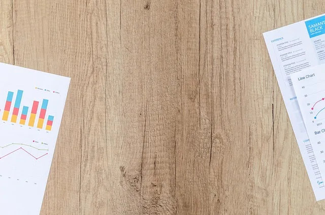 차은우 탈세 논란으로 본 연예인 법인 추징금과 실질과세 원칙