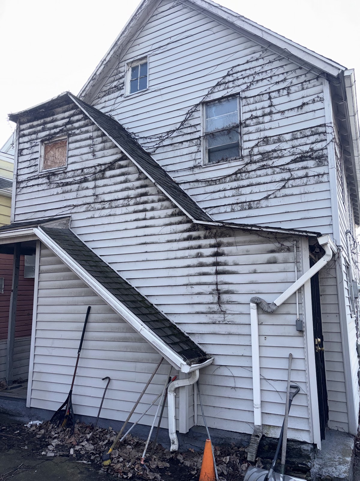 Copy of IMG_7566.HEIC