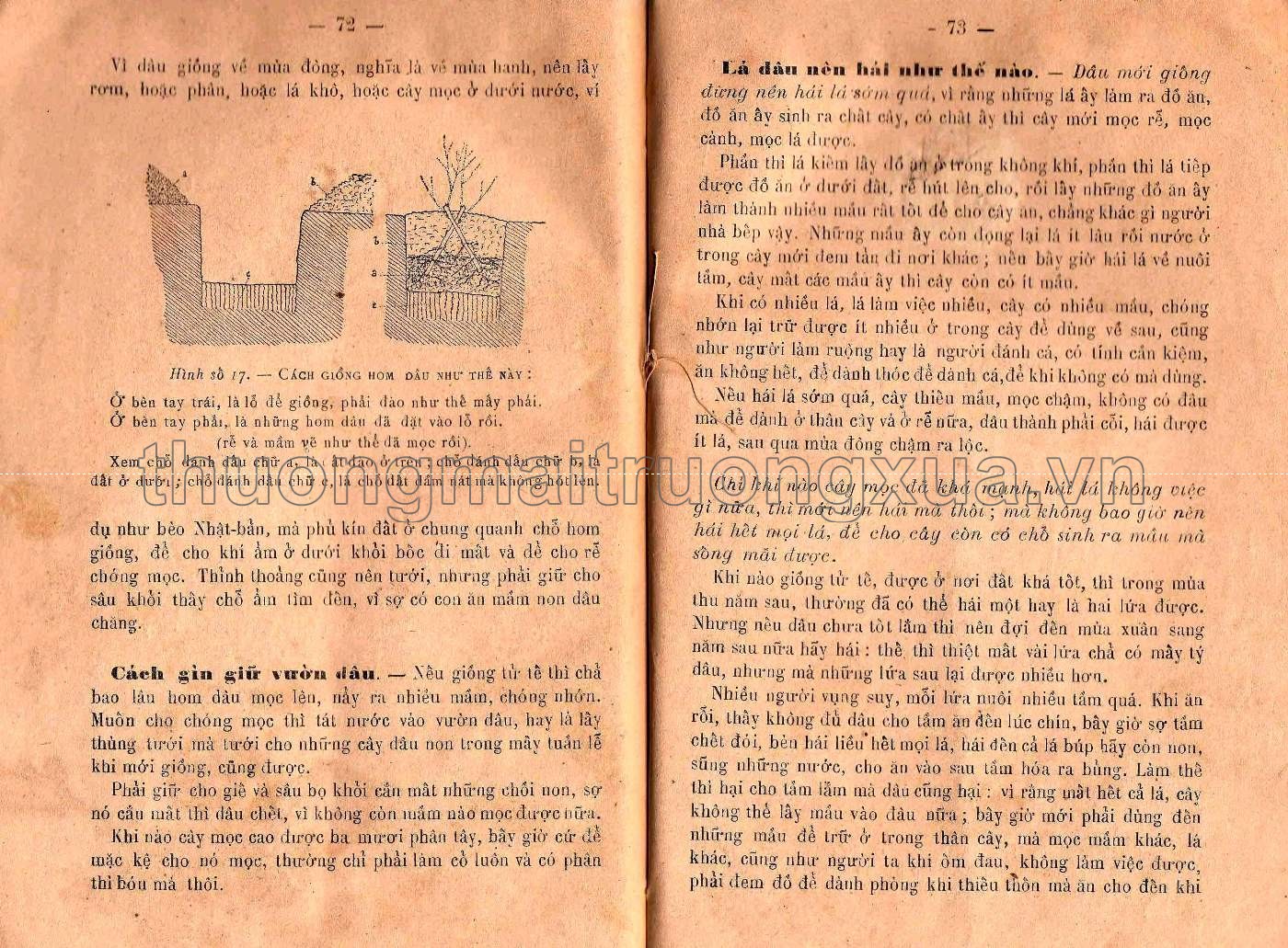 Sách dạy chăn tằm (1926) - Trang 37