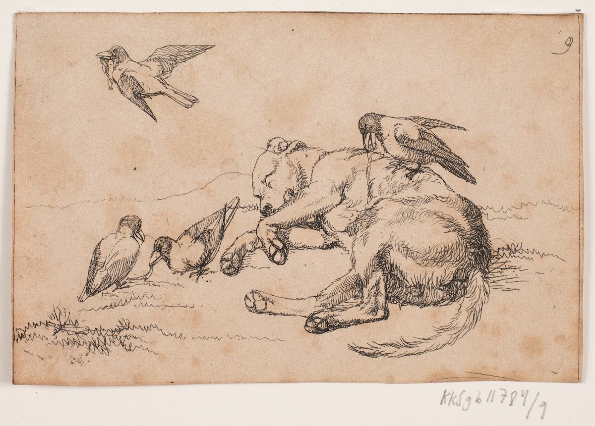 Billede 1838