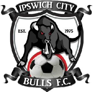 Ipswich City logo
