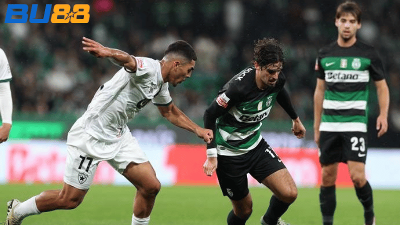 Phong độ gần đây của Sporting CP- Estrela