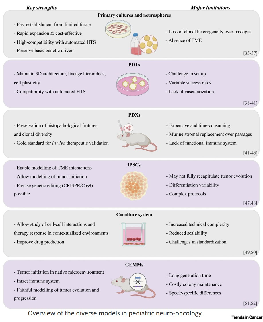 Precision neuro-oncology for children: Time to gear up!
