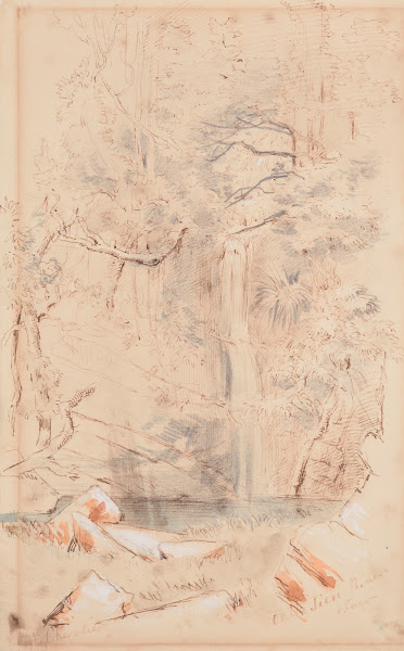 On the Taieri River Otago 1865