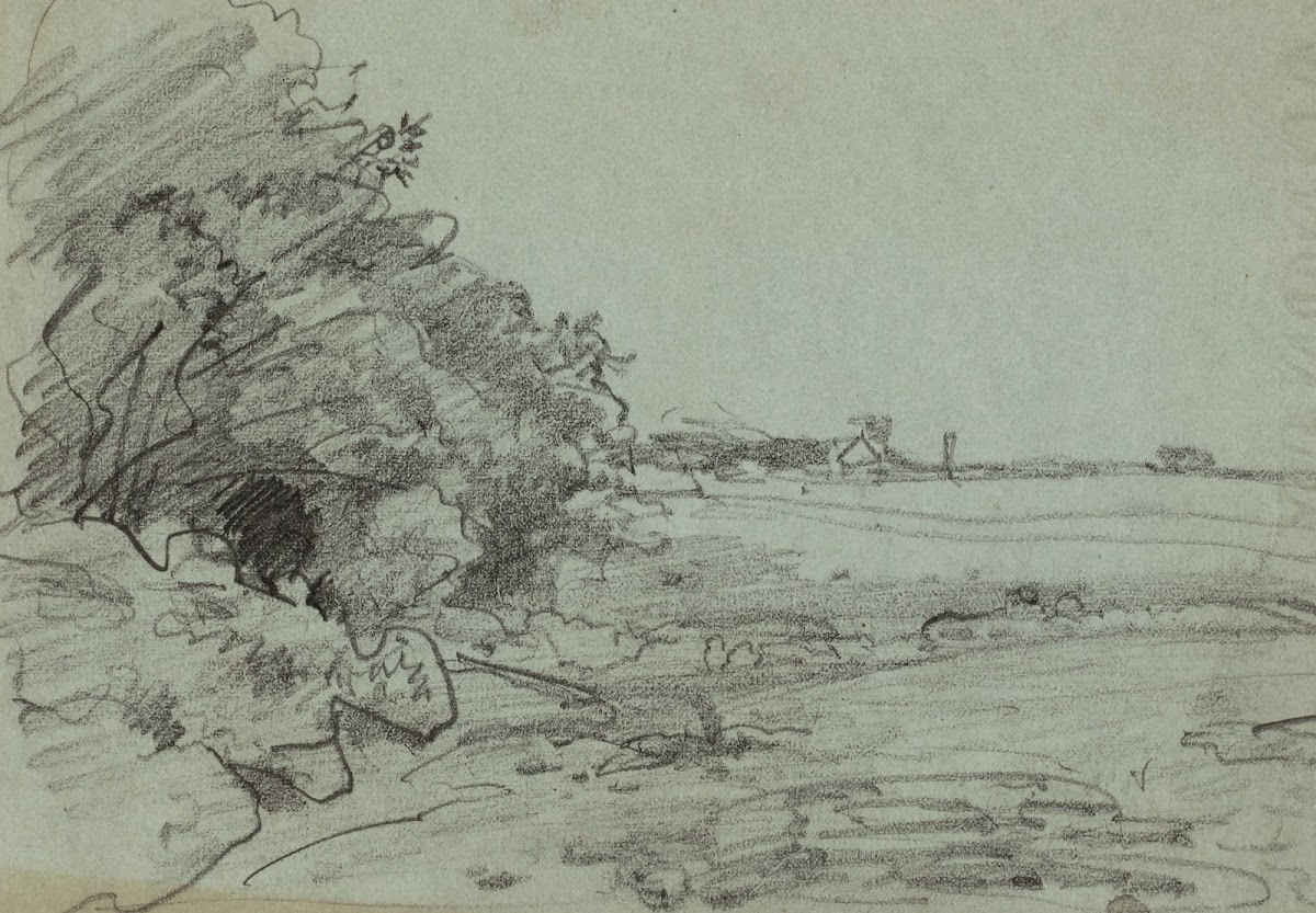 Shoreline