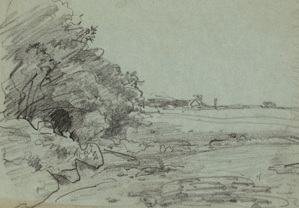 Shoreline