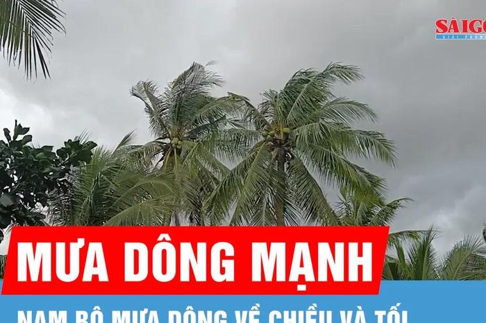 Dự báo Nam bộ mưa dông vào chiều và tối 5-5 - Báo Sài Gòn Giải Phóng