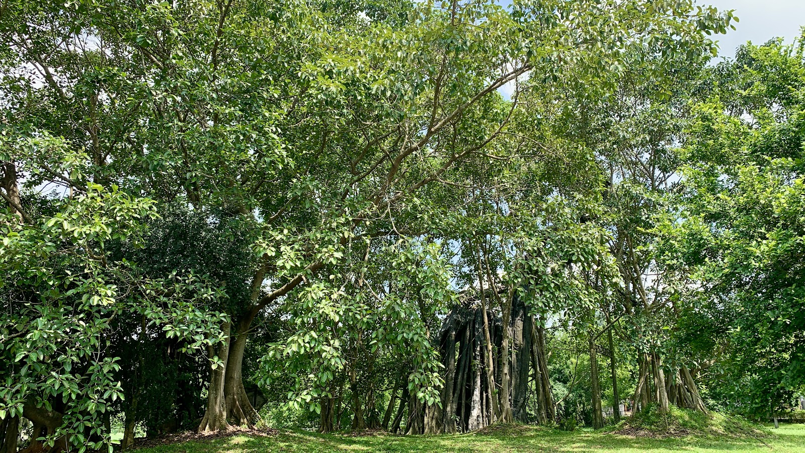 Khu di tích Quốc gia đặc biệt Tân Trào