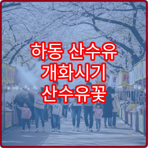 하동 산수유 개화시기 산수유꽃 언제 필까