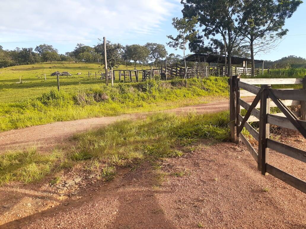 Fazenda no Município de Padre Bernardo - GO 5