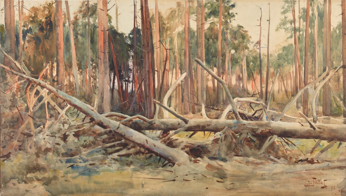 Pine forest 1888